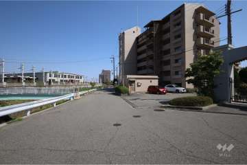 敷地北側の前面道路。道を挟んで最明寺川が流れています。