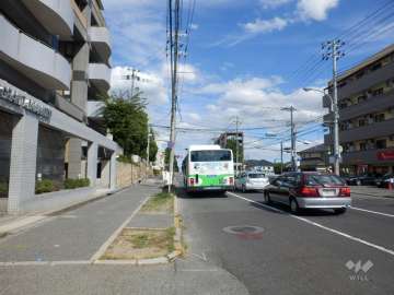 敷地南側の前面道路（山手幹線）