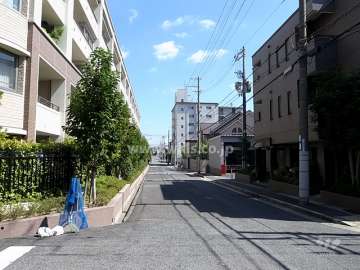敷地北側の前面道路
