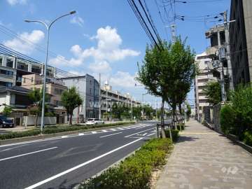 敷地北側の前面道路。山手幹線です。