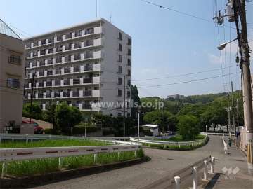 敷地東側の前面道路。行き止まりのため、交通量は少なめ。すぐ北側には服部緑地があります。