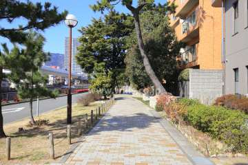 前面道路との間には歩道が設けられています。