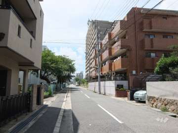 敷地南側の前面道路（東側から）