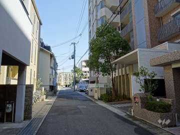 敷地北側の前面道路
