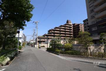 敷地北側の前面道路