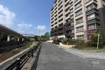 敷地西側の前面道路