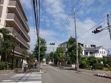 敷地の東側は街路樹のきれいな二車線のバス通りに面しています。