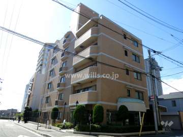 ロイヤル住吉アネシスの外観（北東側から）