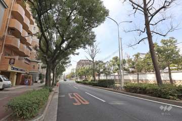 敷地北側の前面道路（山手幹線）。歩道が整備された街路樹がきれいな通りです。