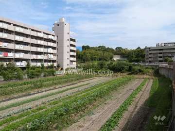 敷地の南側の様子。敷地の南側と東側には田畑が広がっています。