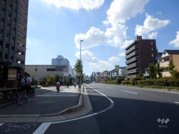 敷地北側の前面道路（国道2号線）