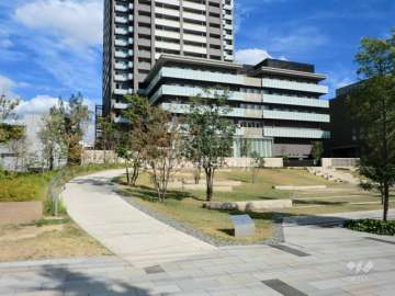 敷地に隣接する広場