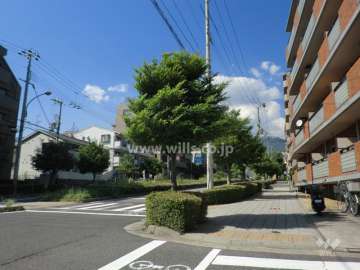 敷地西側の前面道路
