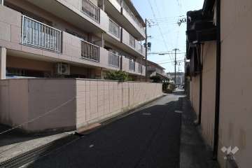 敷地西側の前面道路（北側から）