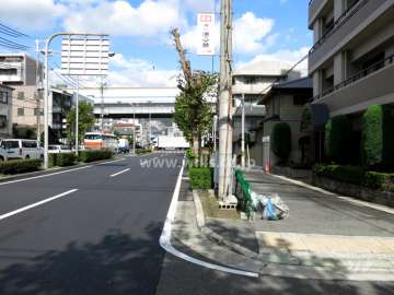 敷地西側の前面道路