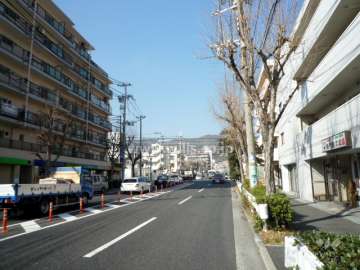 敷地の東側前面道路（南側から）