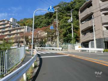 敷地西側の前面道路