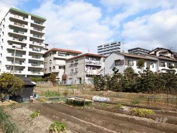 周辺は一戸建てとマンションが混在する静かな住宅地です。