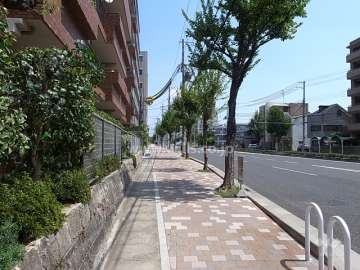 敷地南側の前面道路