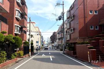 敷地西側の前面道路（北側から）