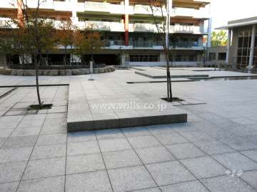 敷地中央にある広場