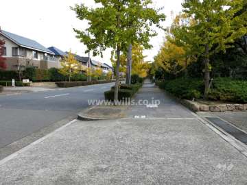 敷地北側の前面道路