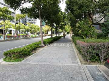 敷地西側の前面道路