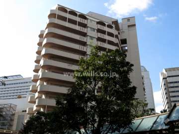 RICイーストコート6番街5番館の外観（北東側から）