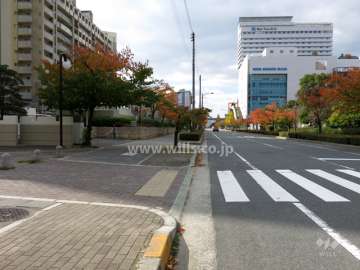 敷地北側の前面道路