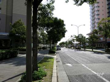 敷地西側の前面道路