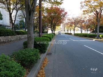敷地北側の前面道路