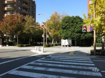 敷地南西側の前面道路