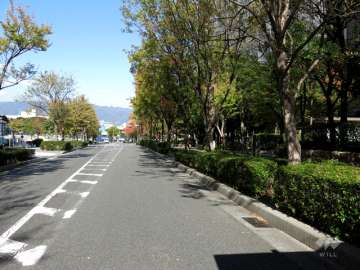 敷地西側の前面道路