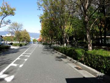 敷地西側の前面道路