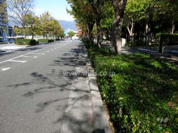 敷地西側の前面道路