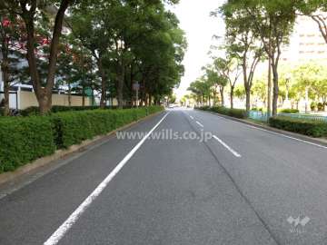 敷地東側の前面道路