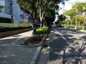 敷地東側の前面道路