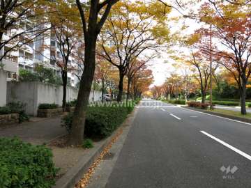 敷地北側の前面道路
