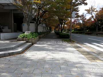 敷地北側の前面道路