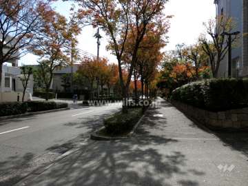 敷地東側の前面道路