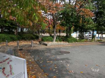 敷地に隣接する公園