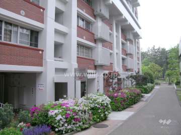 建物は一部タイル貼りで、スキップフロア構造