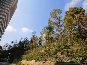 敷地北側にある植栽スペース（川も流れています。）