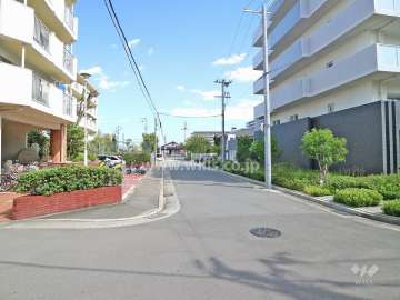 敷地北側の前面道路