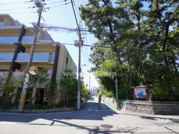敷地北側の前面道路。道を挟んで熊野神社があります。