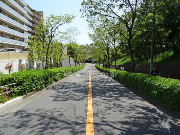 敷地東側の前面道路（北側から）