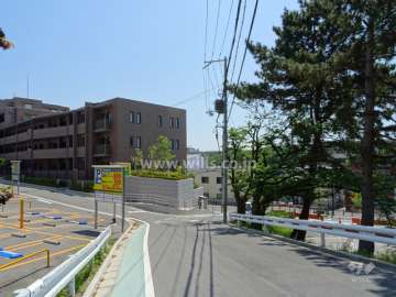敷地西側の前面道路（北側から）