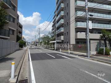 敷地西側の前面道路。二車線の通りです。