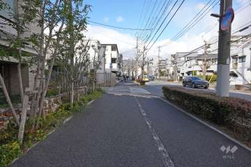 敷地東側の前面道路（南側から）