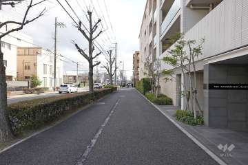 敷地東側の前面道路（北側から）